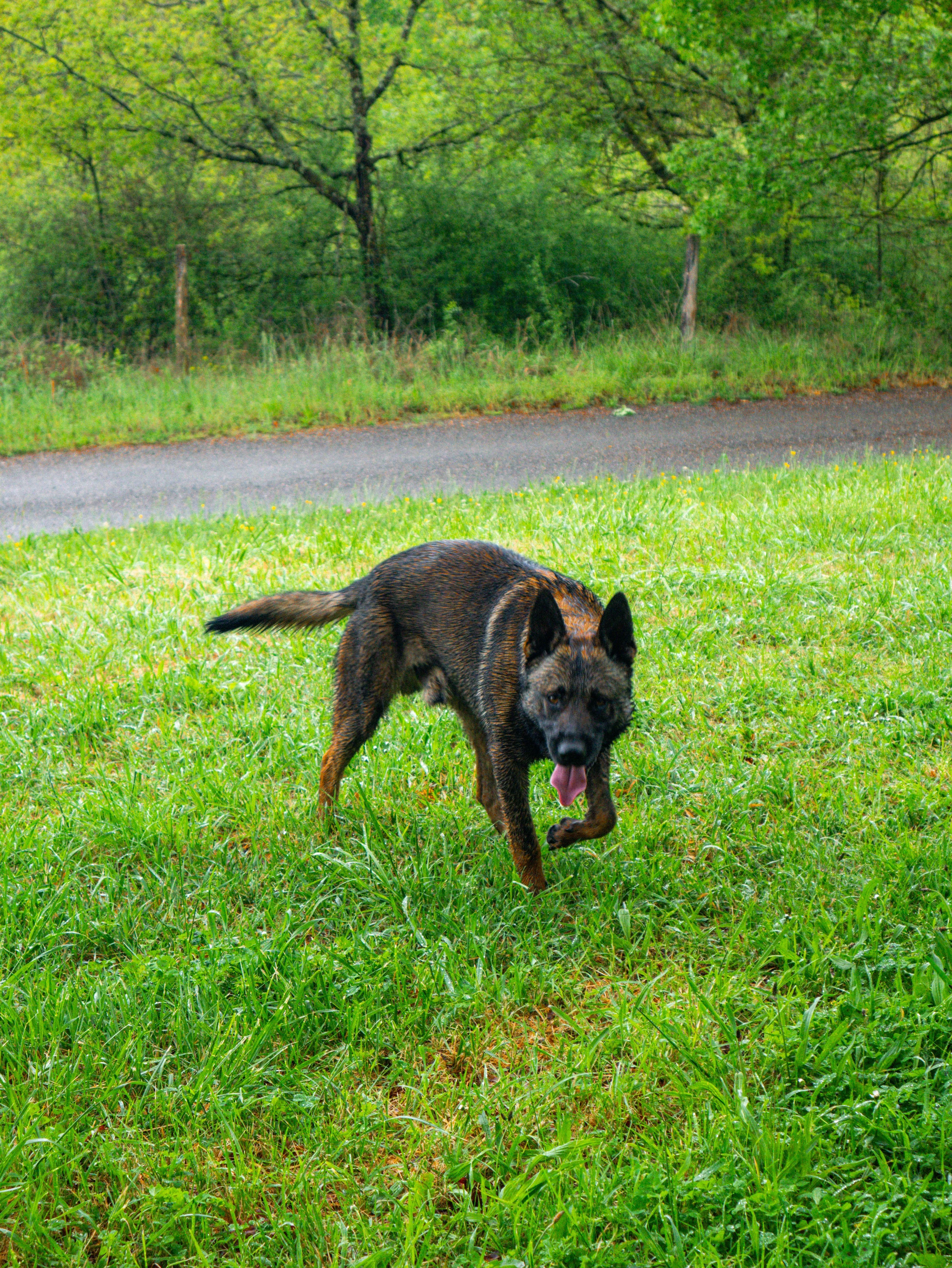 p1040614.webp