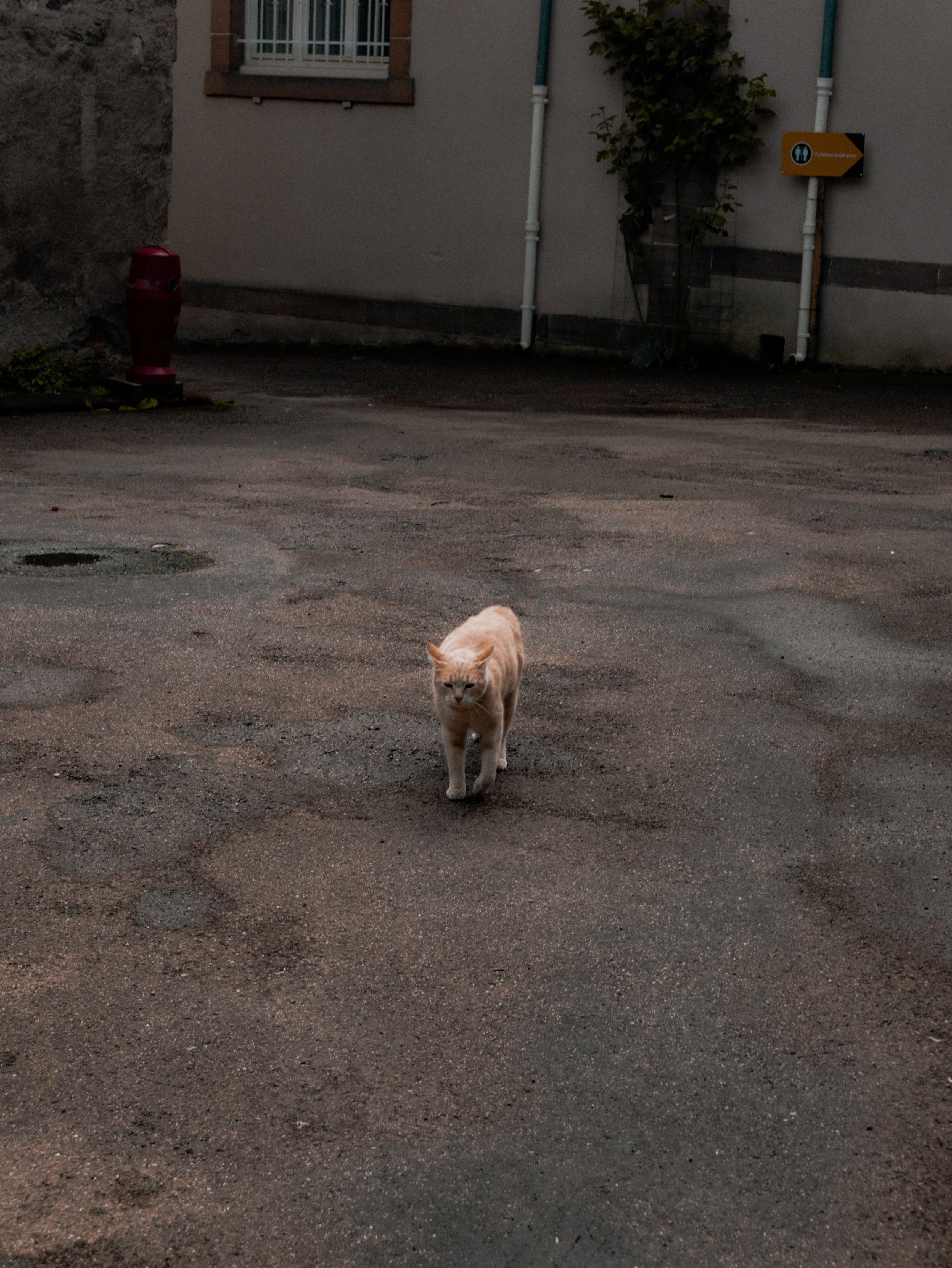 p1040723.webp