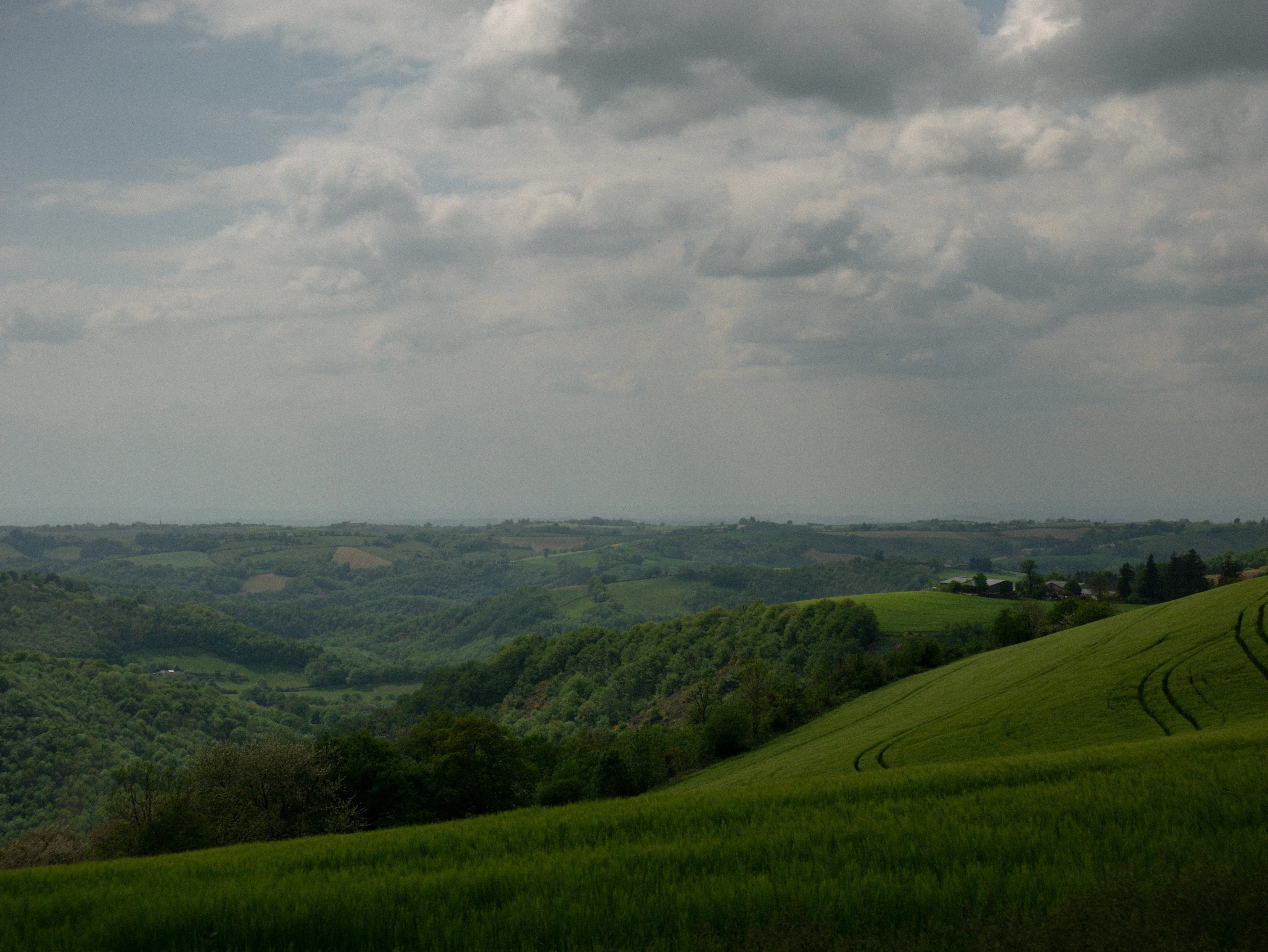 p1050785.webp