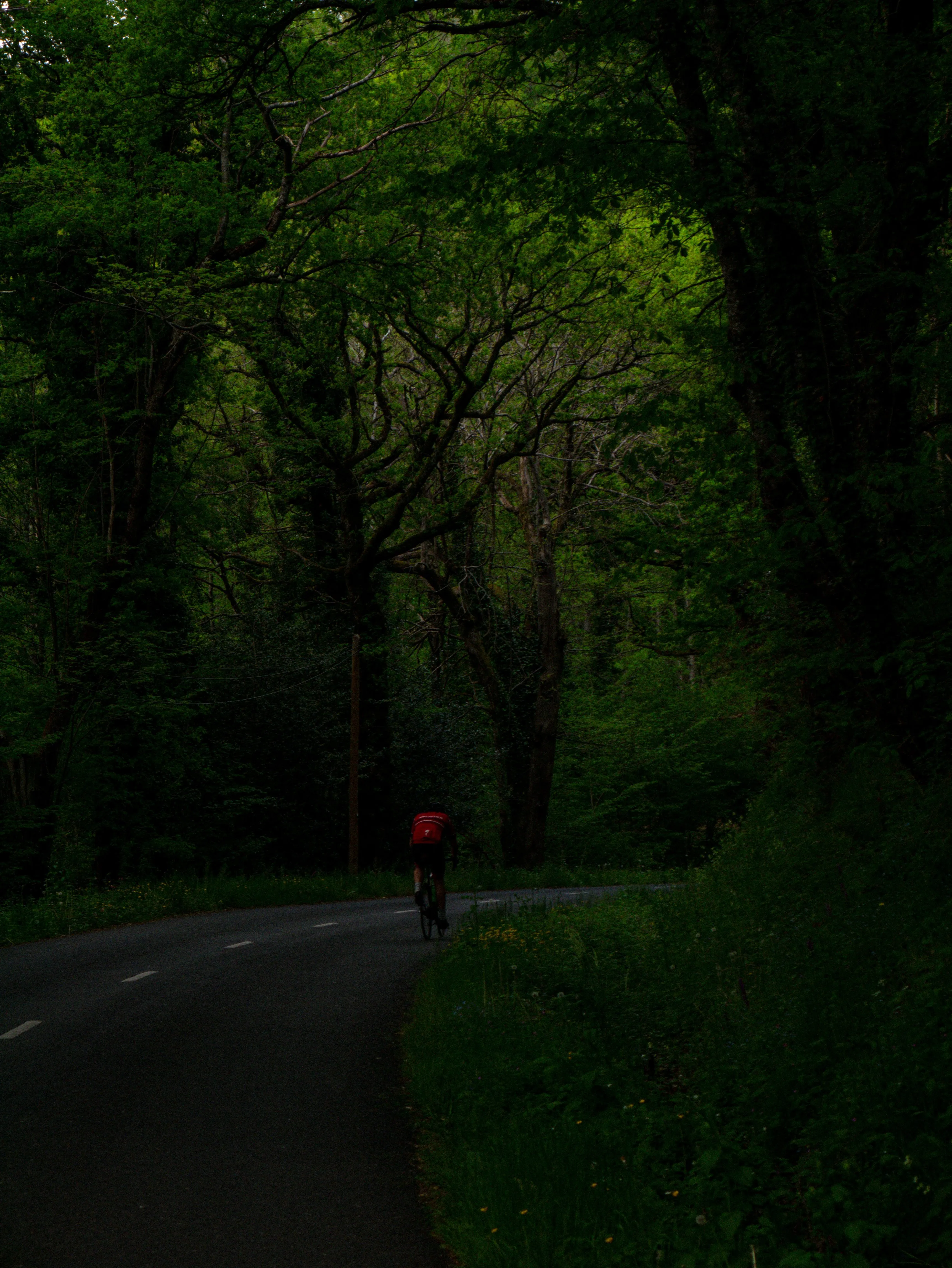 p1050819.webp