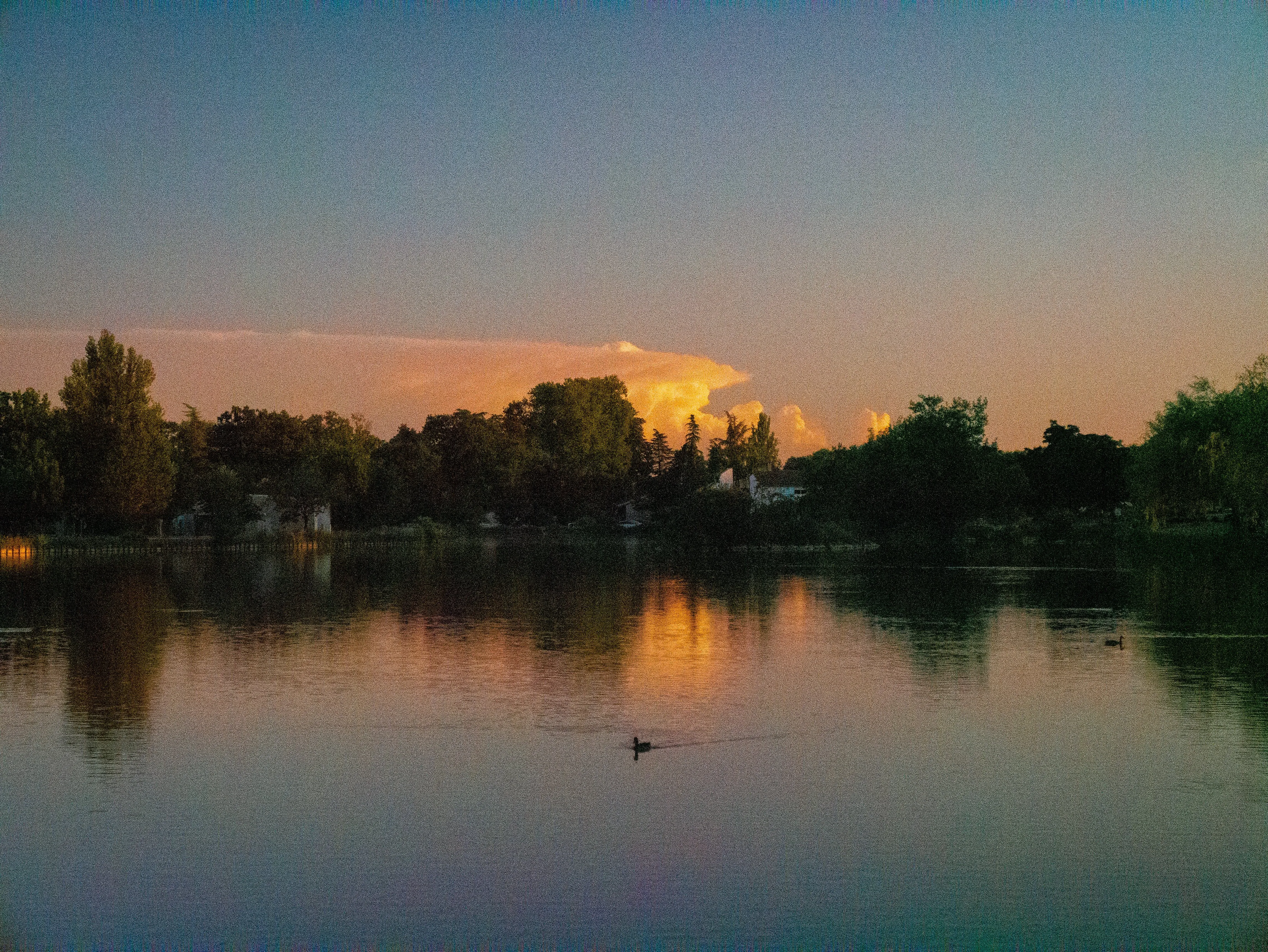 p1060461-2.webp