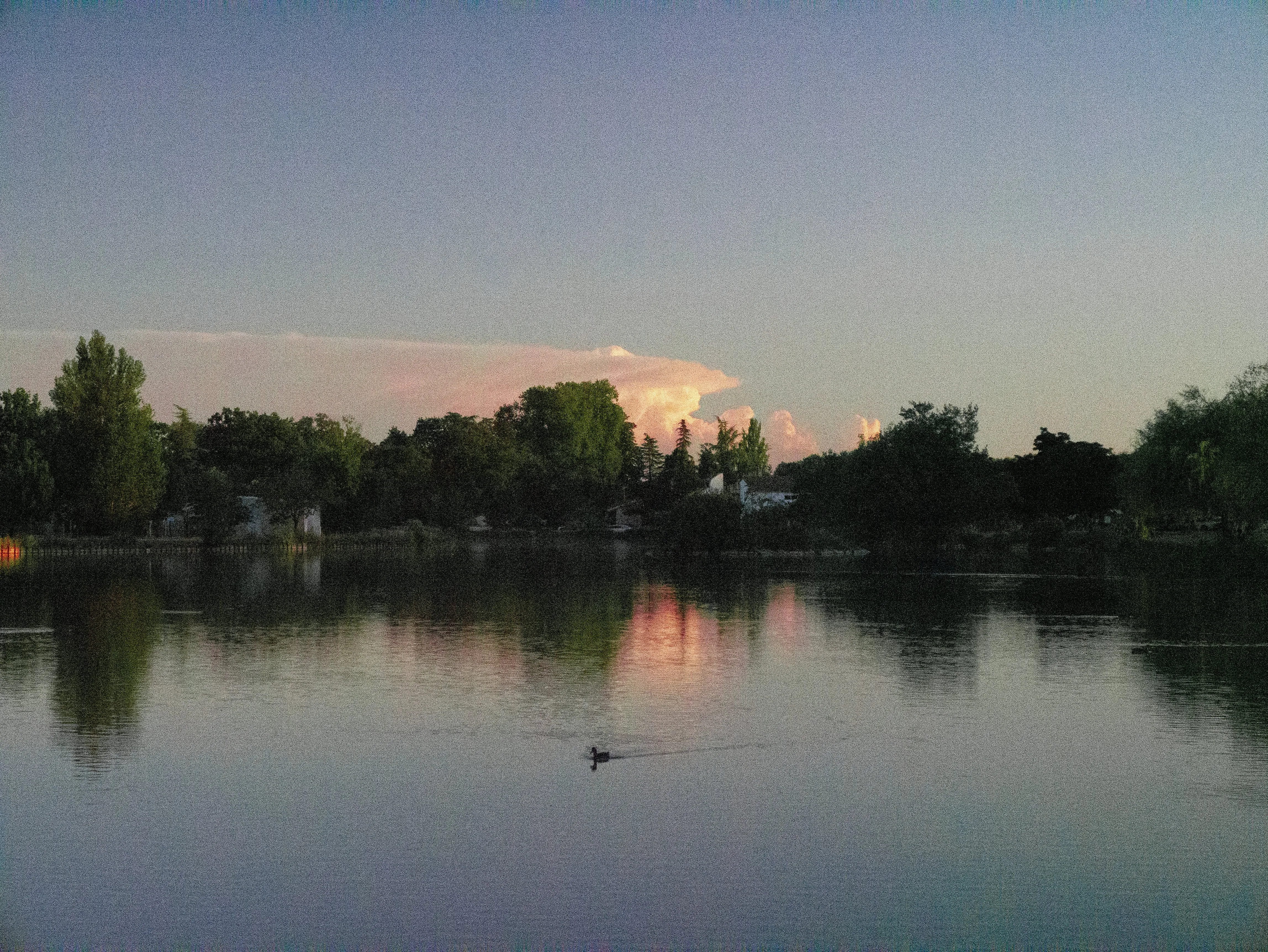 p1060462.webp