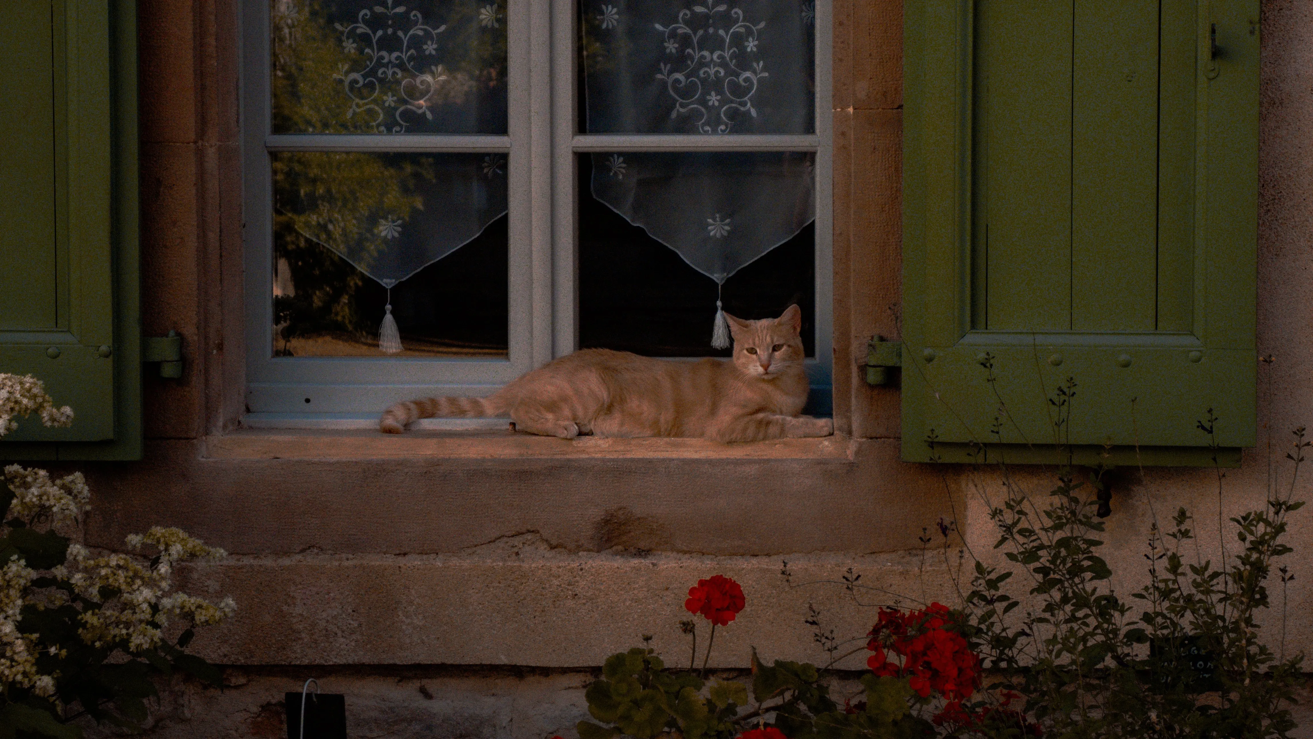 p1060566.webp