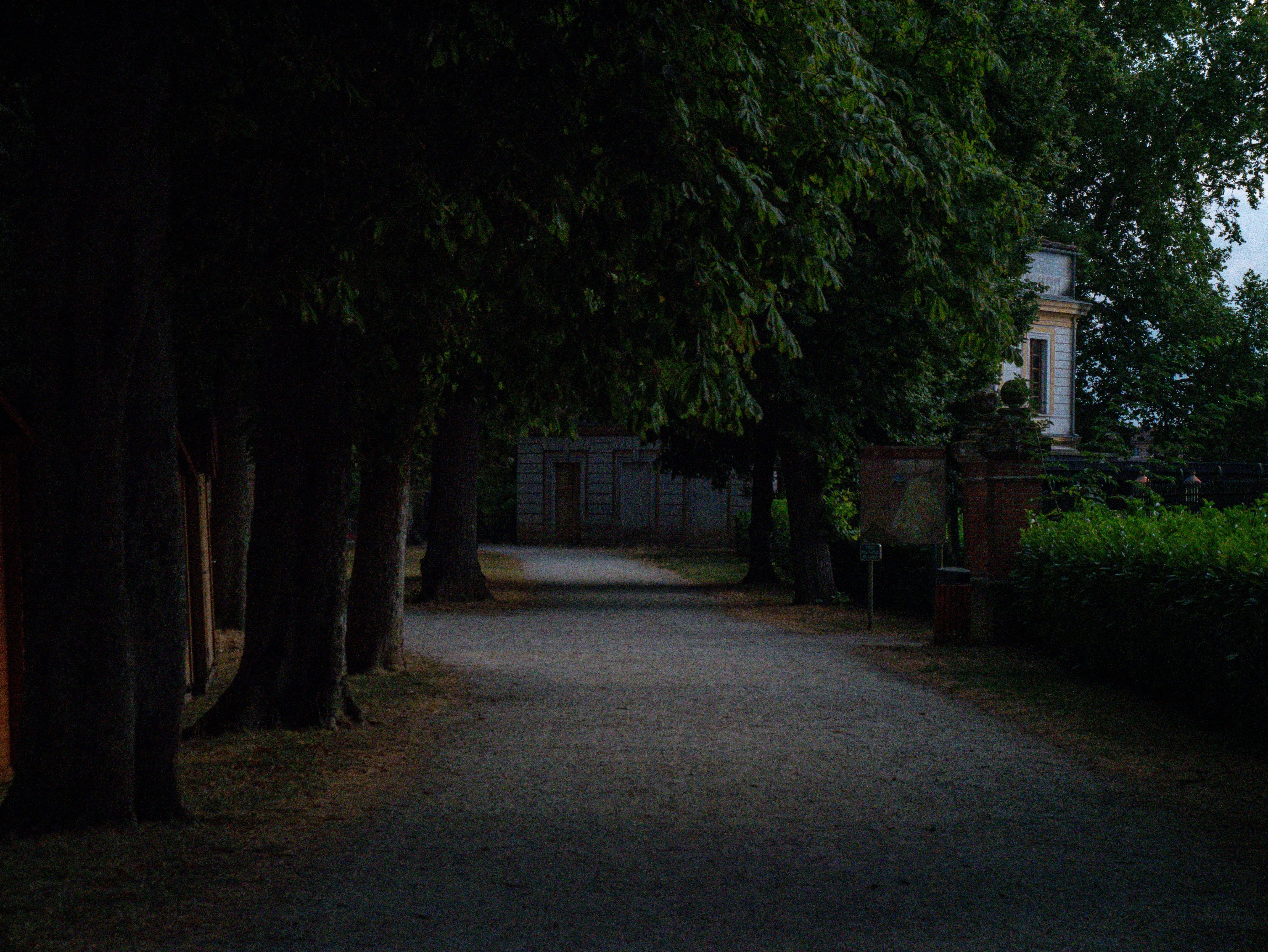 p1060654.webp