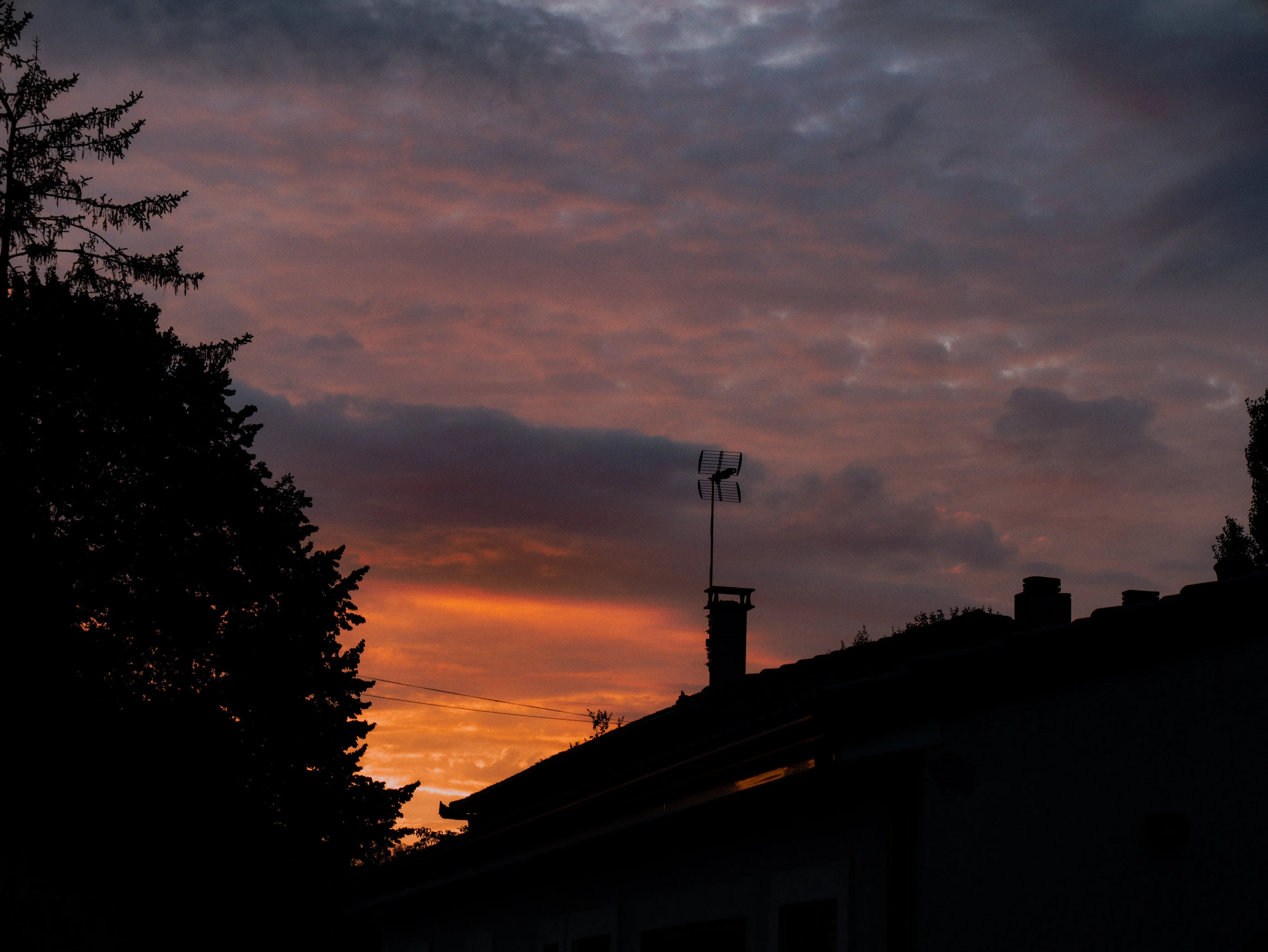 p1060730-2.webp