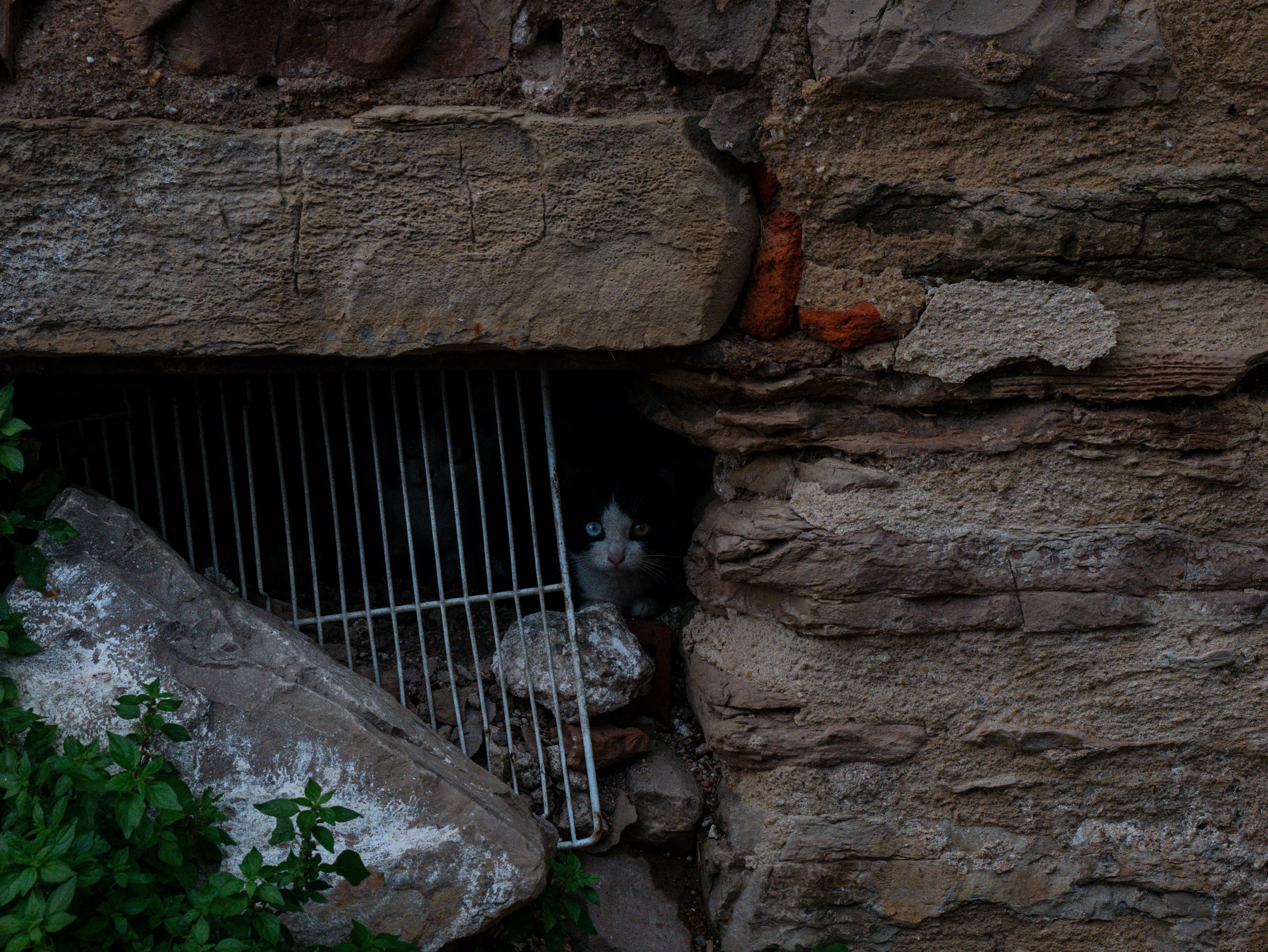 p1070192.webp