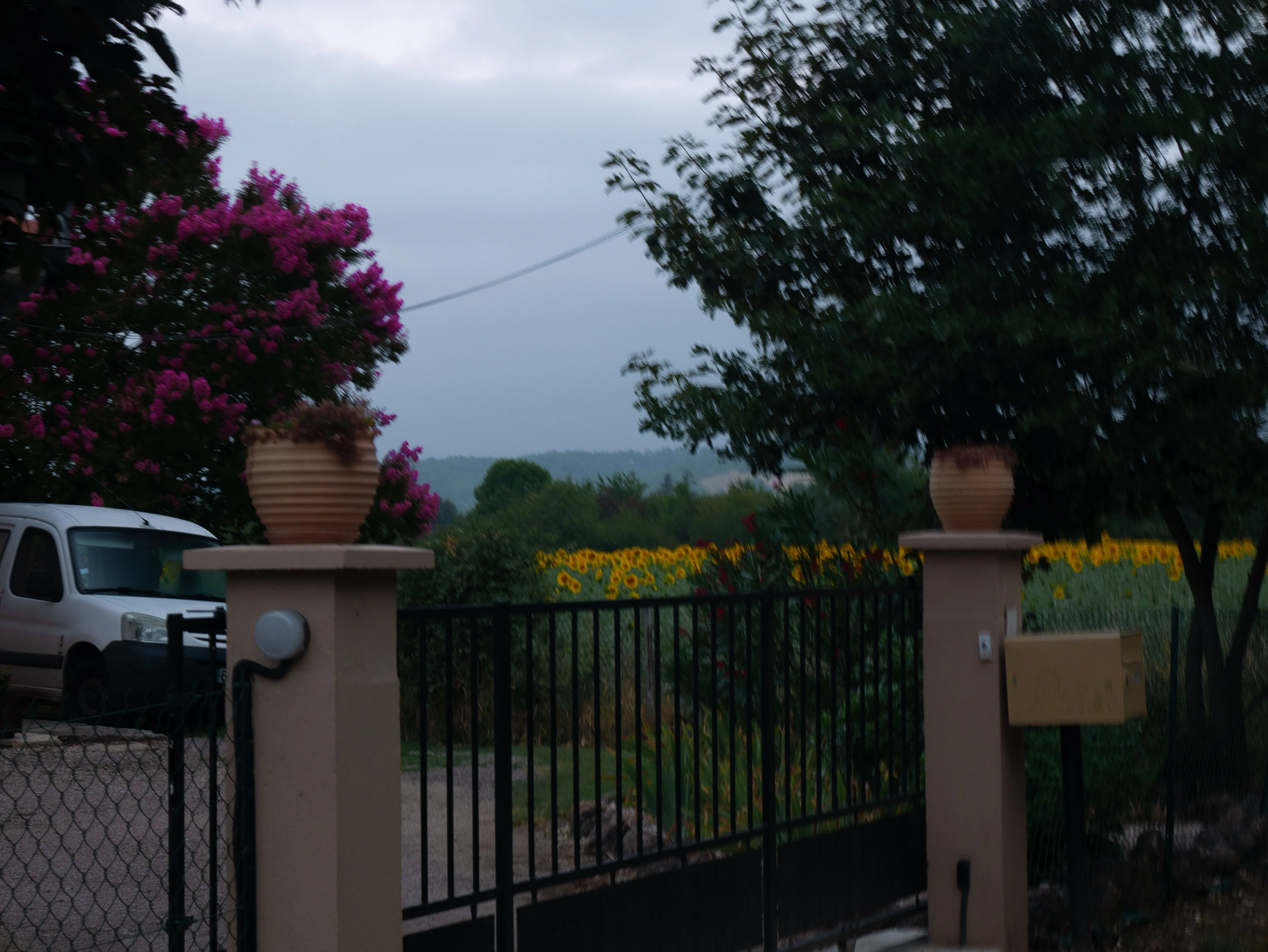 p1070347.webp