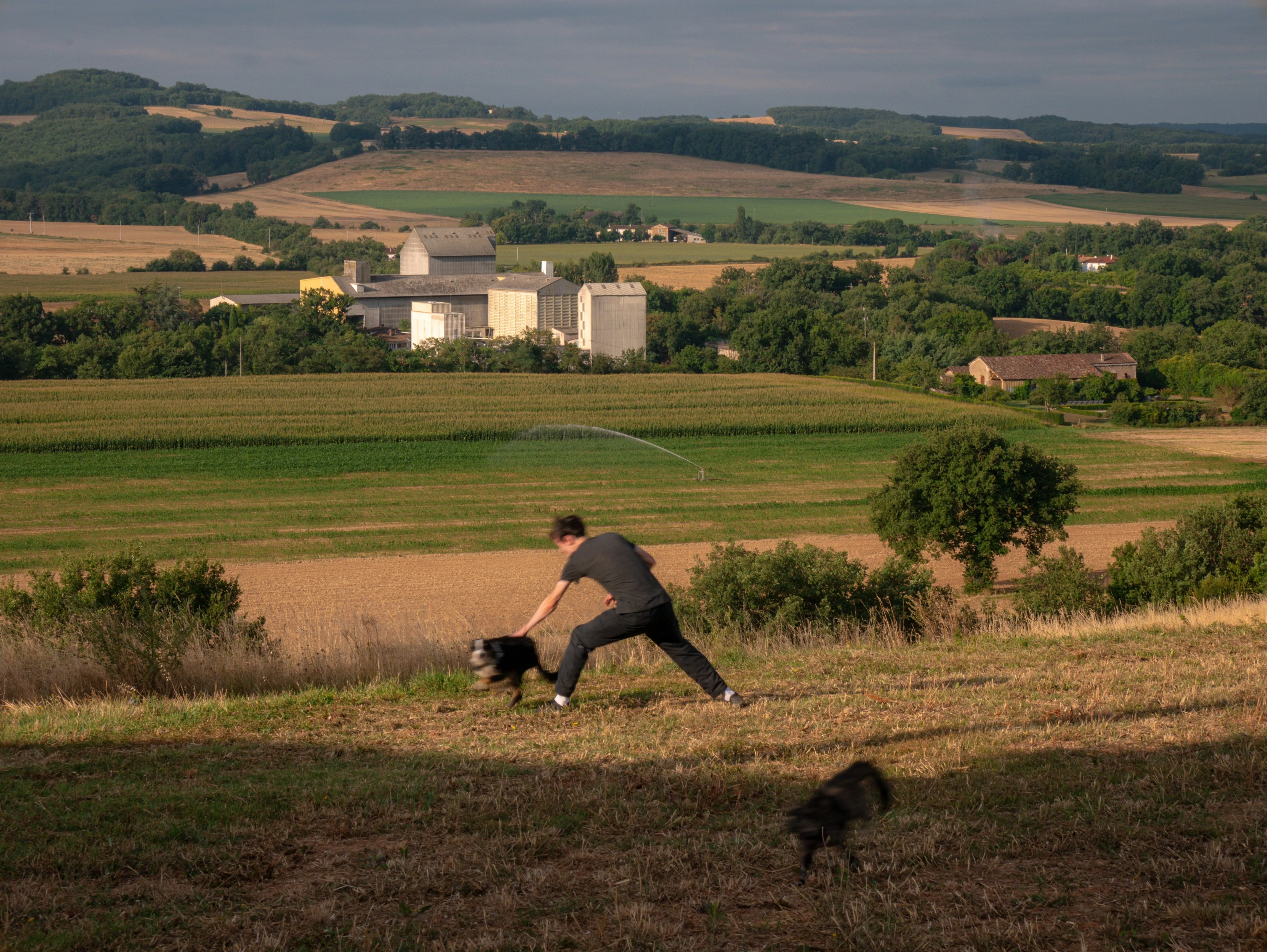 p1070585.webp