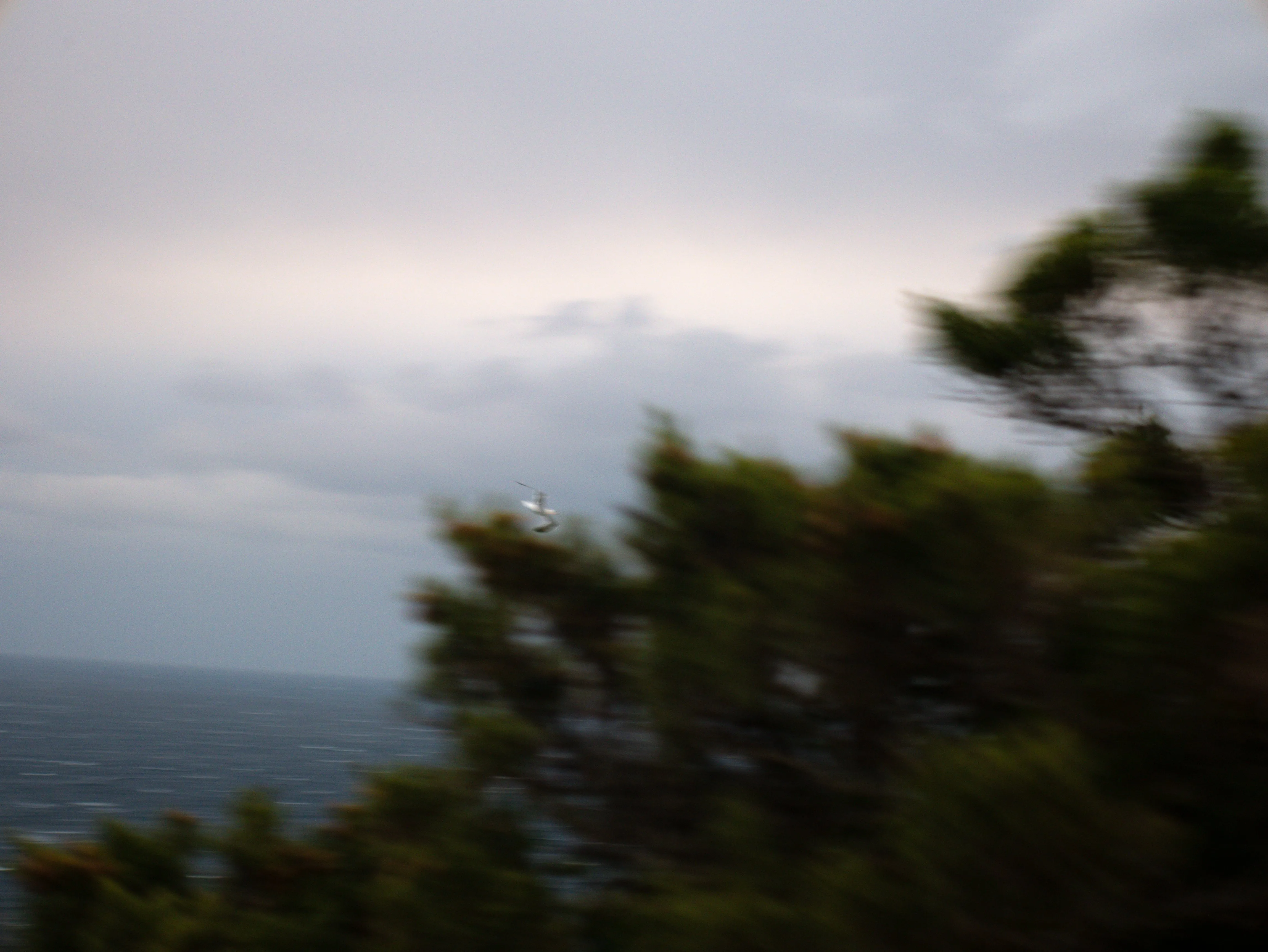 p1080448.webp