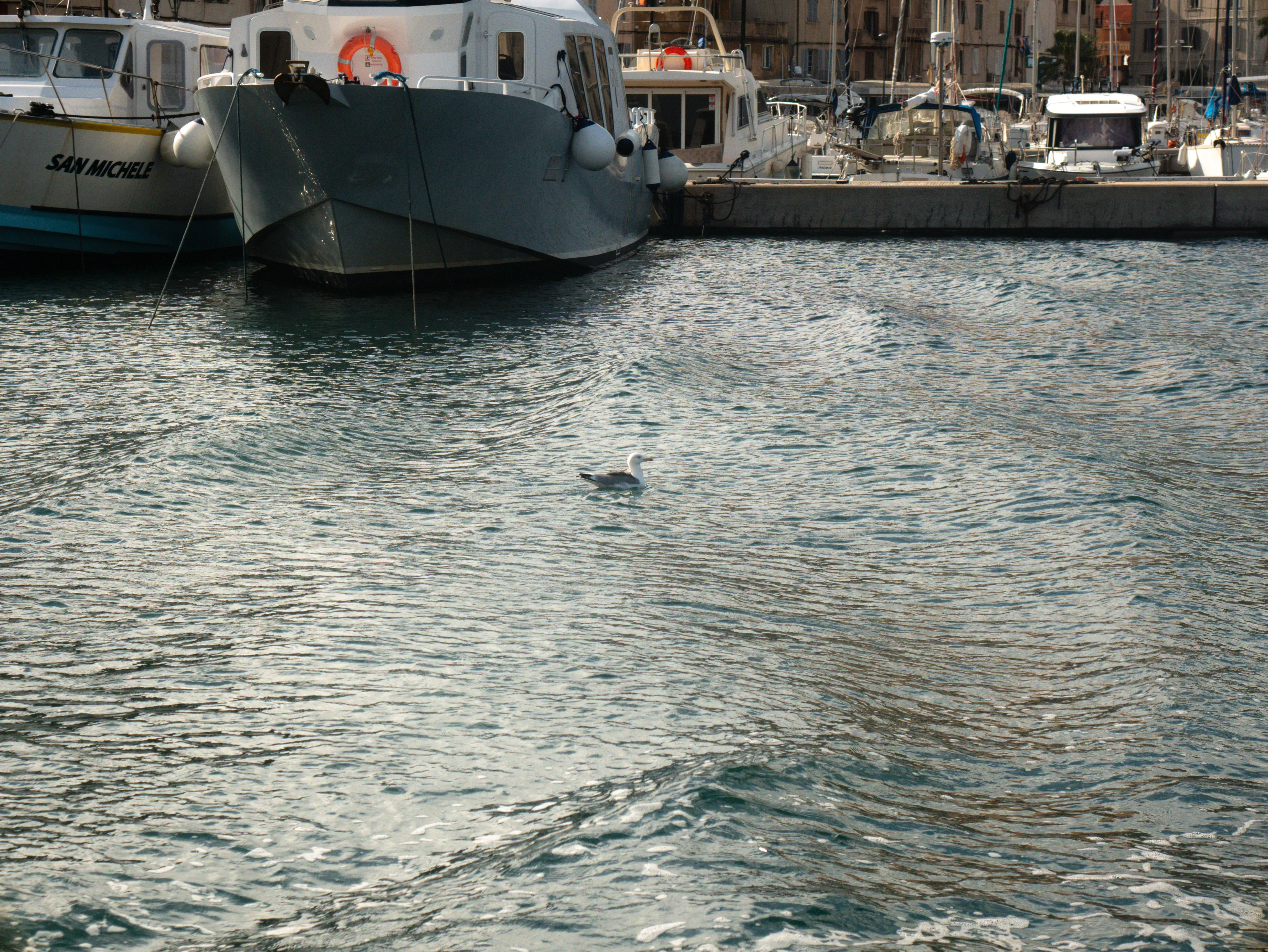 p1080835.webp