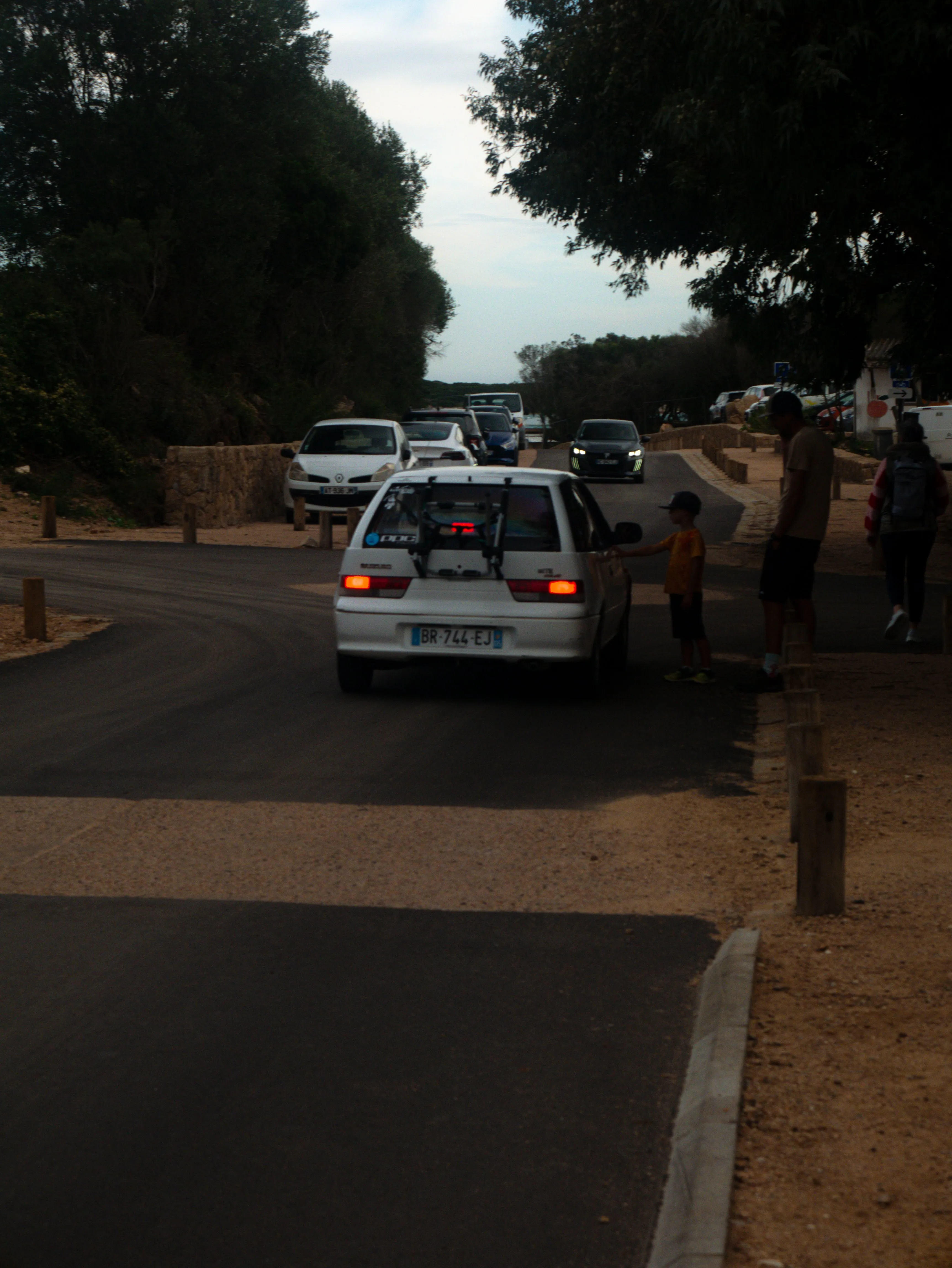 p1080854.webp