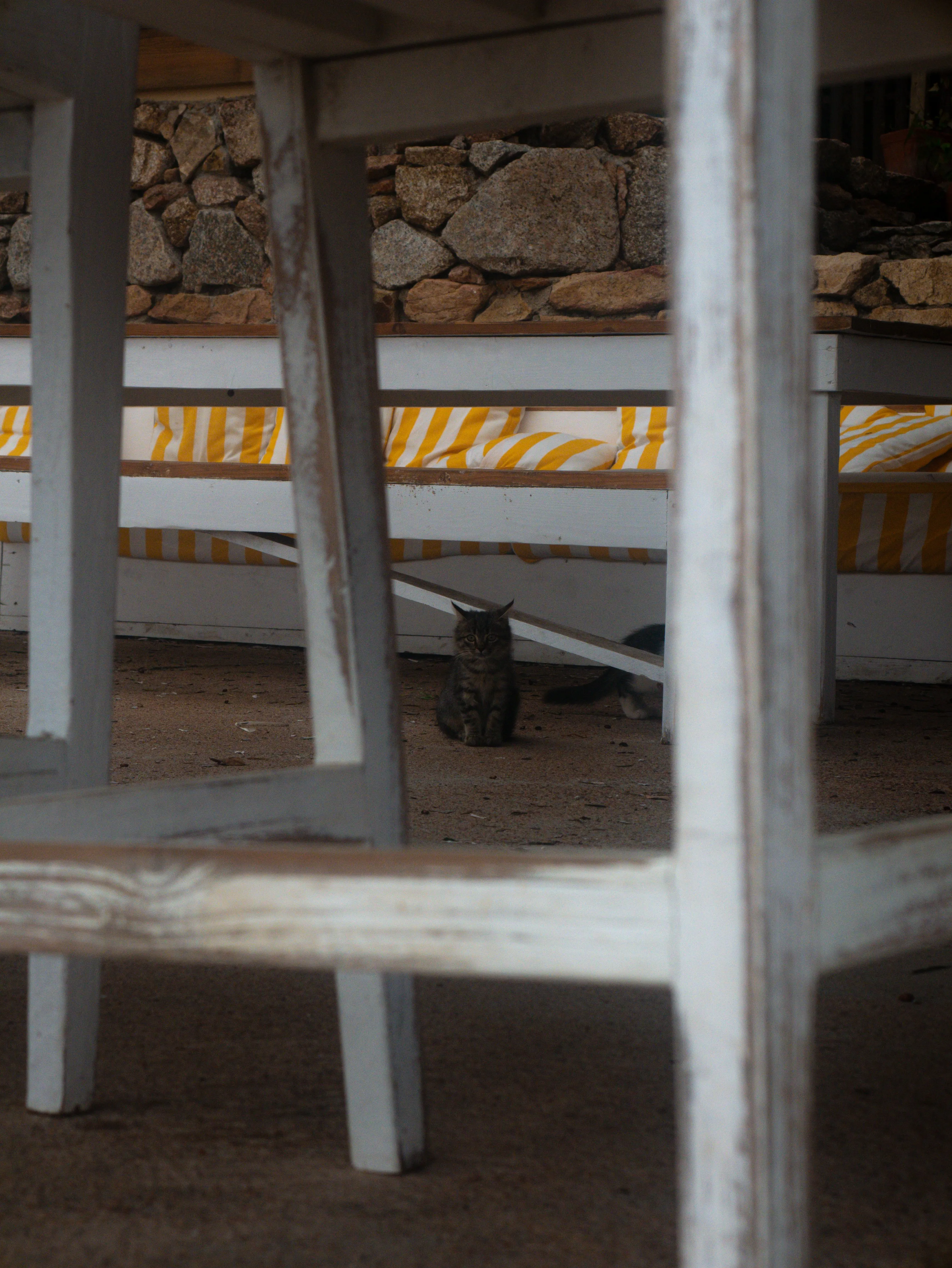 p1080880.webp