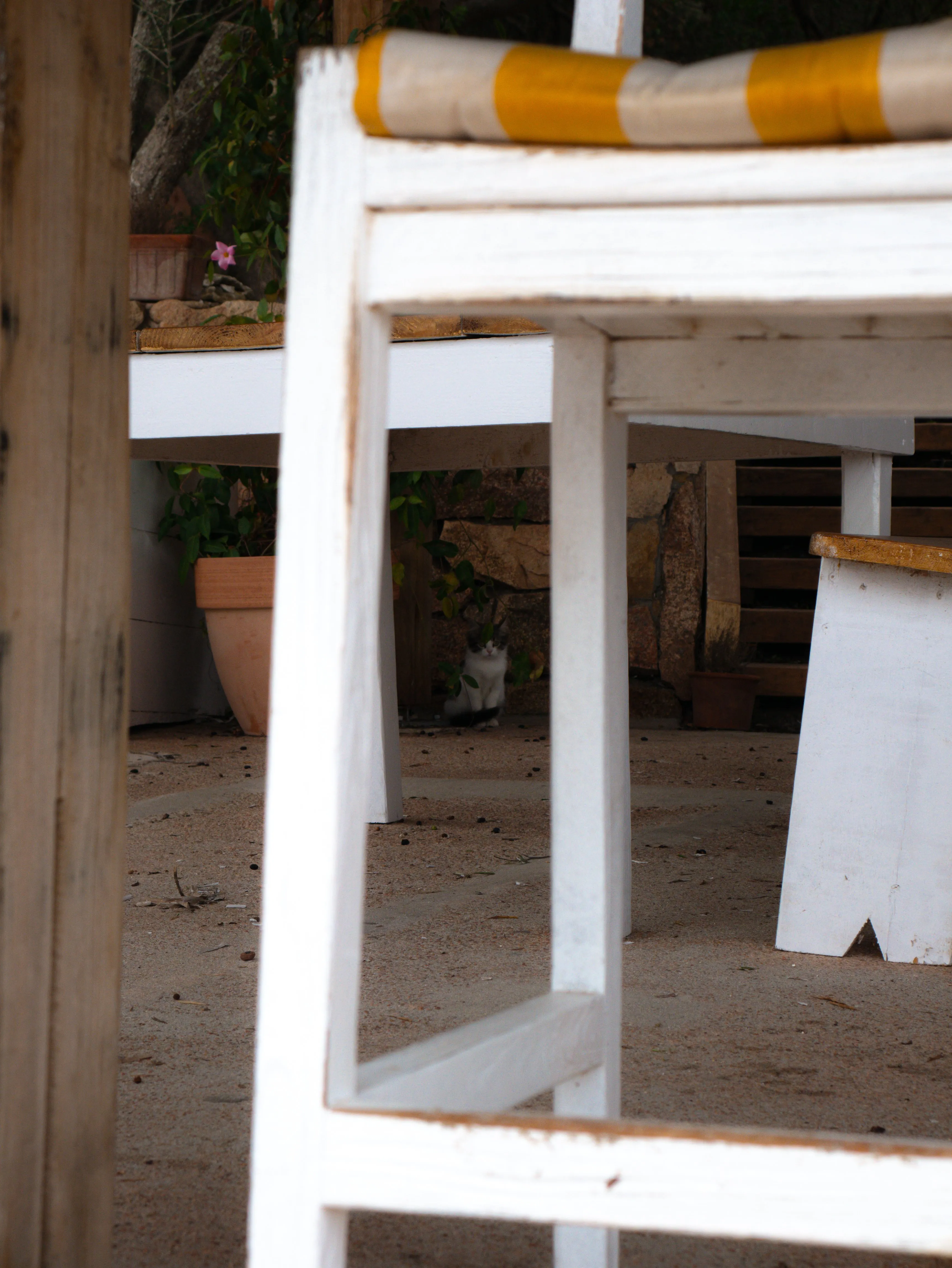 p1080881.webp
