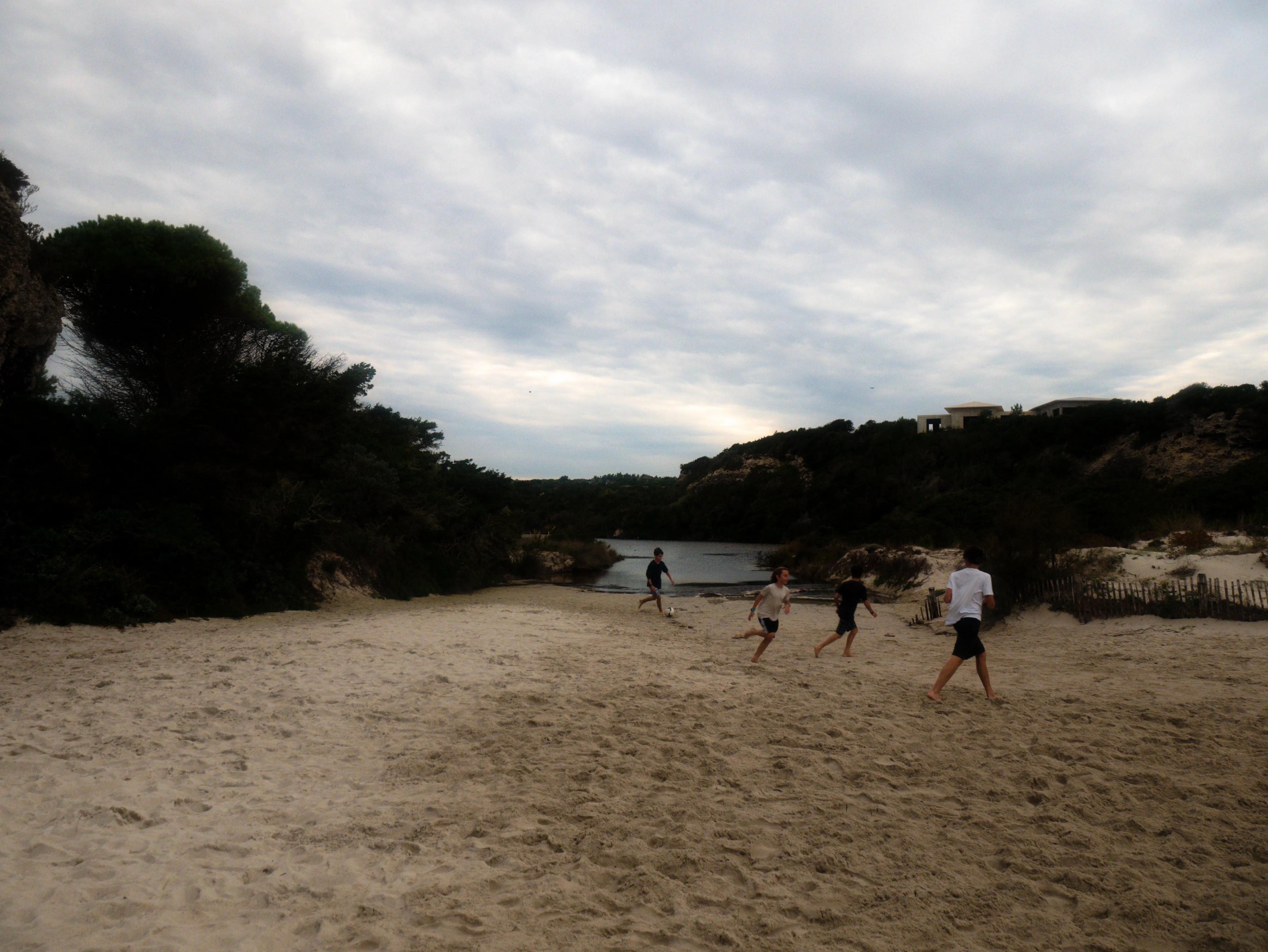 p1090075.webp